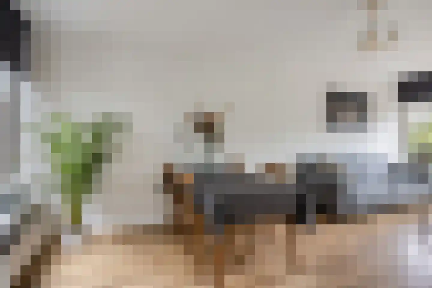 Wolfsklauw 145 Emmen thumbnail 9