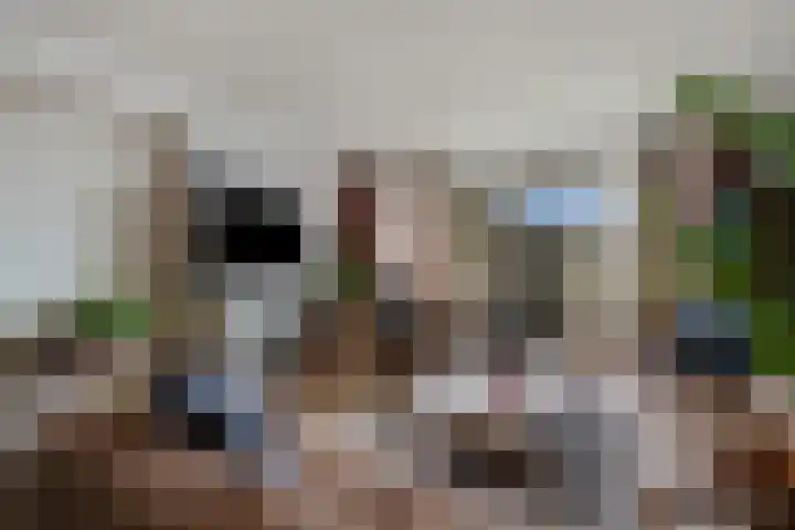 Wolfsklauw 59 Emmen thumbnail 10