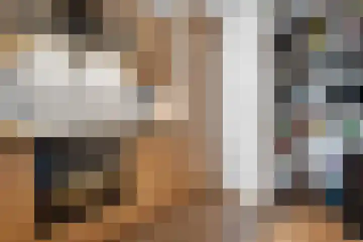 Wolfsklauw 59 Emmen thumbnail 16