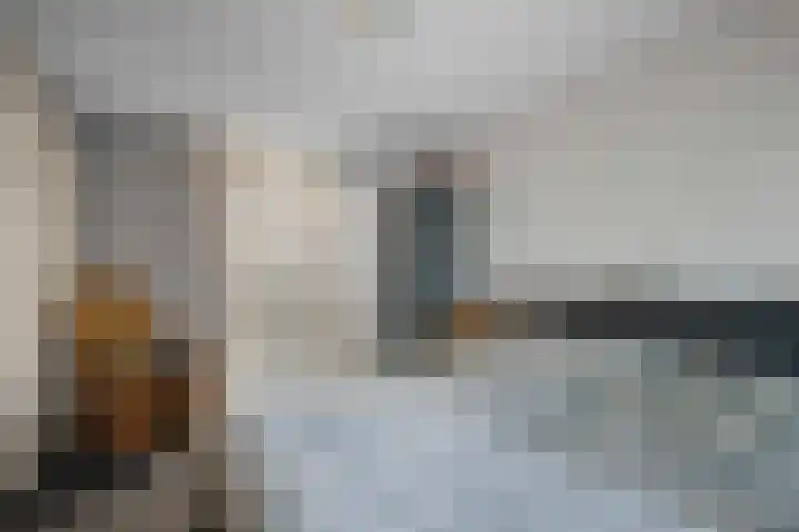 Wolfsklauw 59 Emmen thumbnail 19
