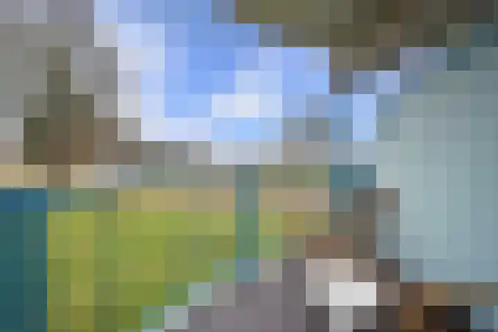 Wolfsklauw 59 Emmen thumbnail 26
