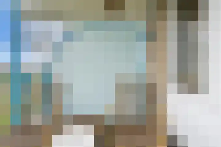 Wolfsklauw 59 Emmen thumbnail 27
