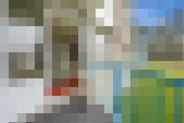 Wolfsklauw 59 Emmen thumbnail 28