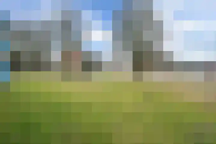 Wolfsklauw 59 Emmen thumbnail 29