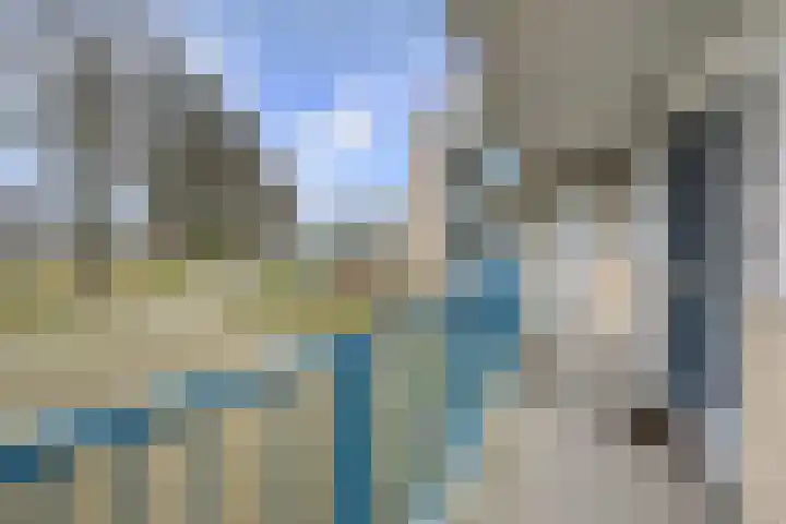 Wolfsklauw 59 Emmen thumbnail 33