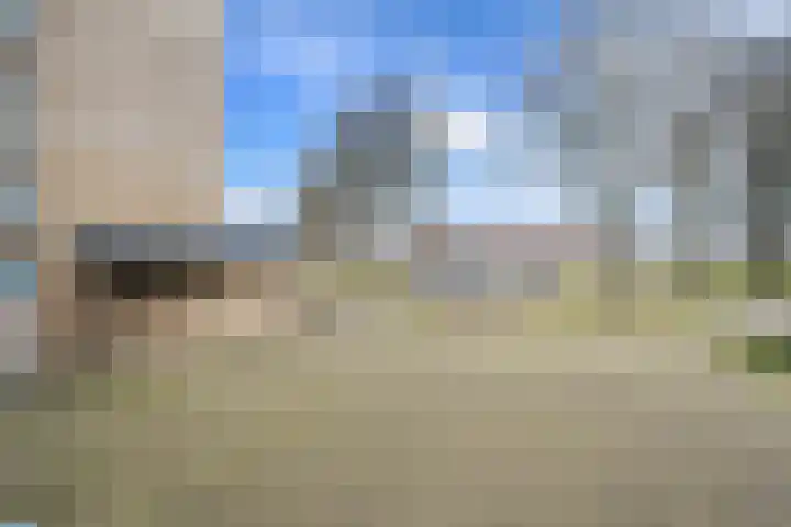 Wolfsklauw 59 Emmen thumbnail 34