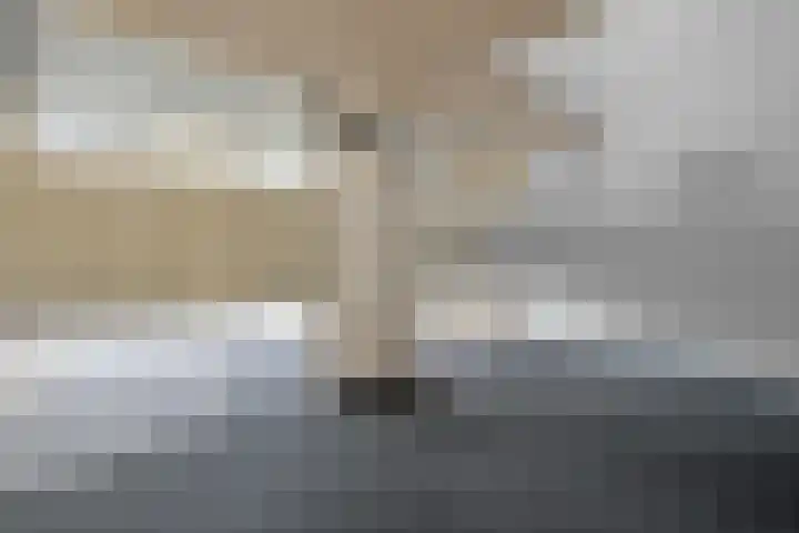 Wolfsklauw 59 Emmen thumbnail 36