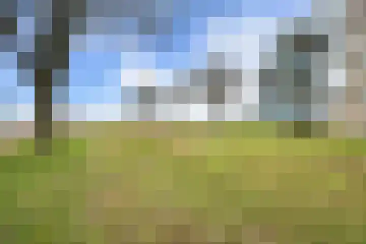 Wolfsklauw 59 Emmen thumbnail 38