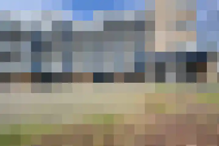 Wolfsklauw 59 Emmen thumbnail 39