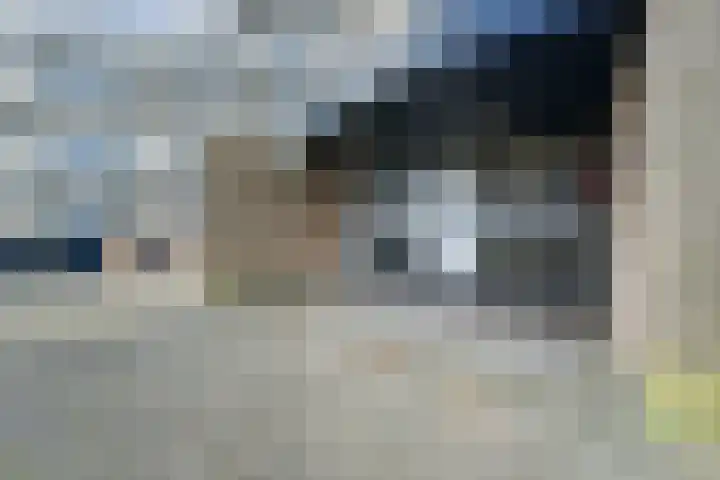 Wolfsklauw 59 Emmen thumbnail 4