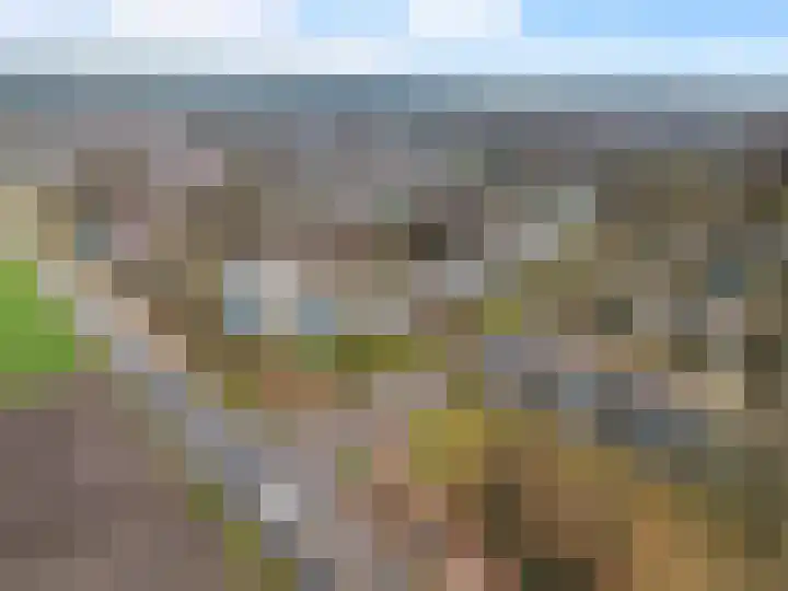 Wolfsklauw 59 Emmen thumbnail 40