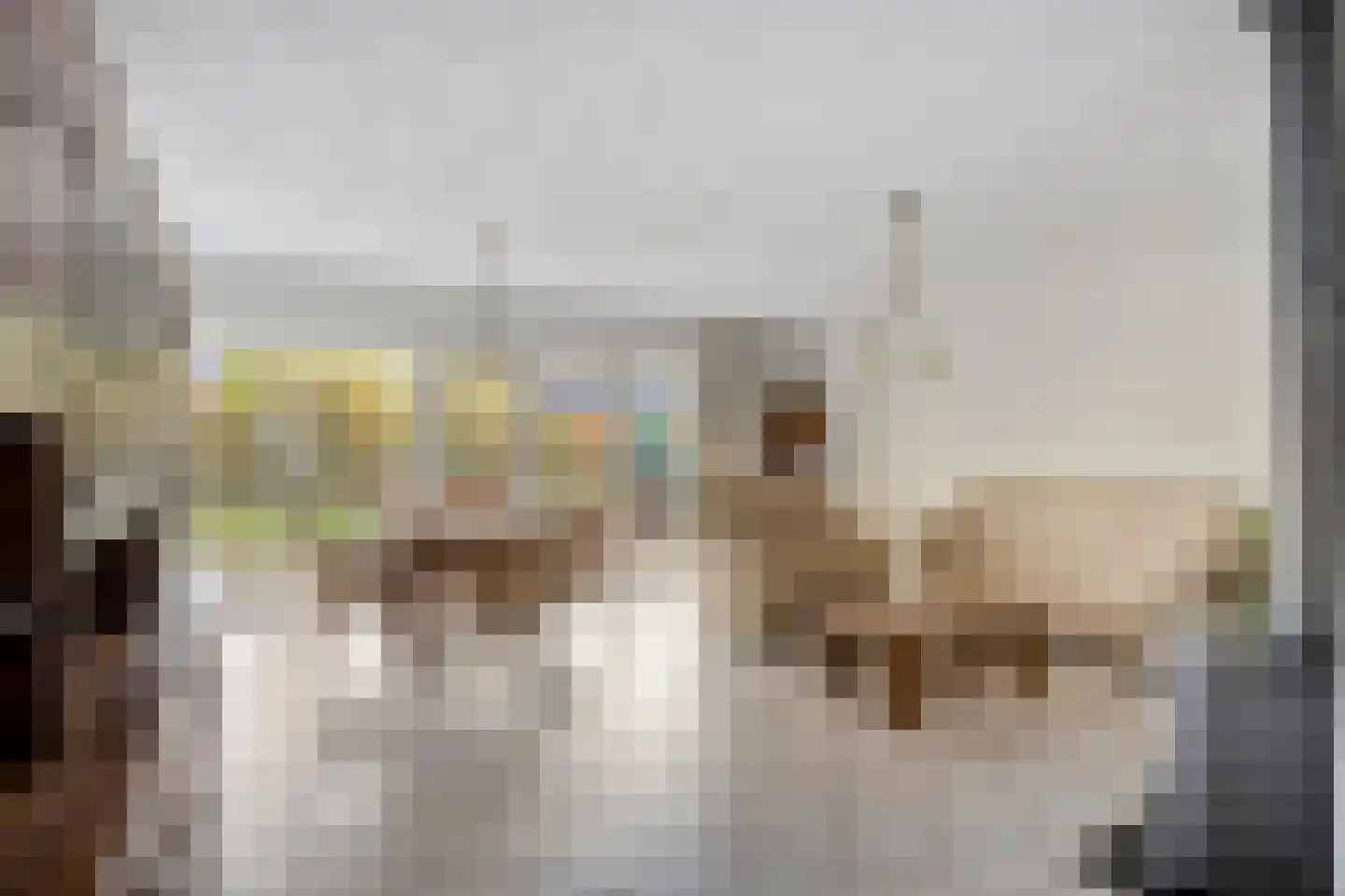 Wolfsklauwstraat 10 Landhorst thumbnail 13