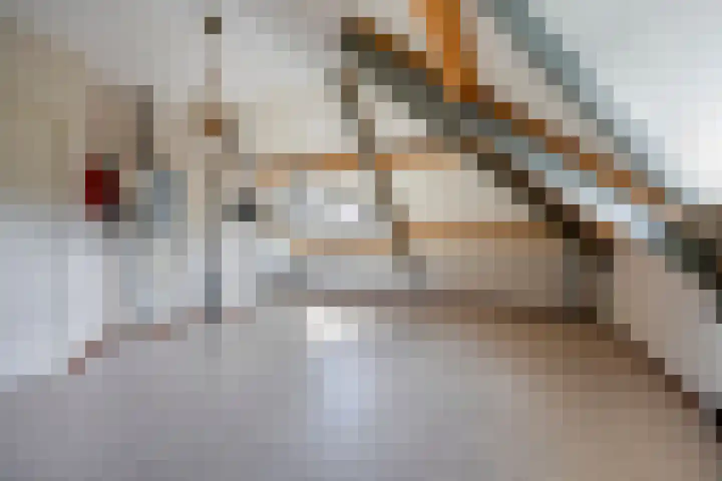 Wolfsklauwstraat 10 Landhorst thumbnail 29