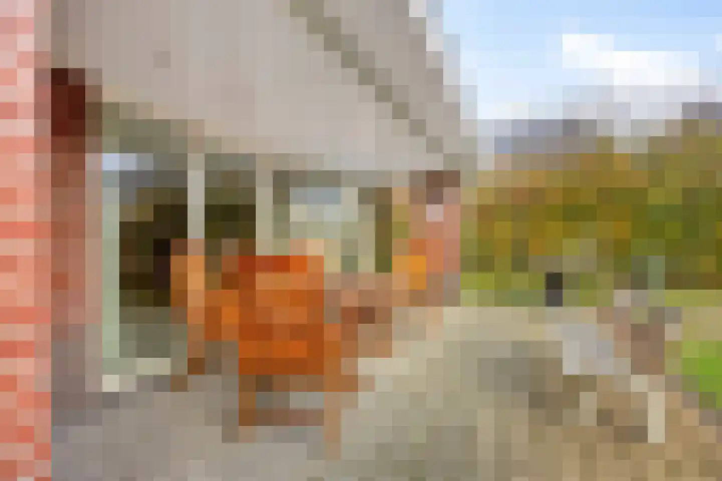 Wolfsklauwstraat 10 Landhorst thumbnail 35