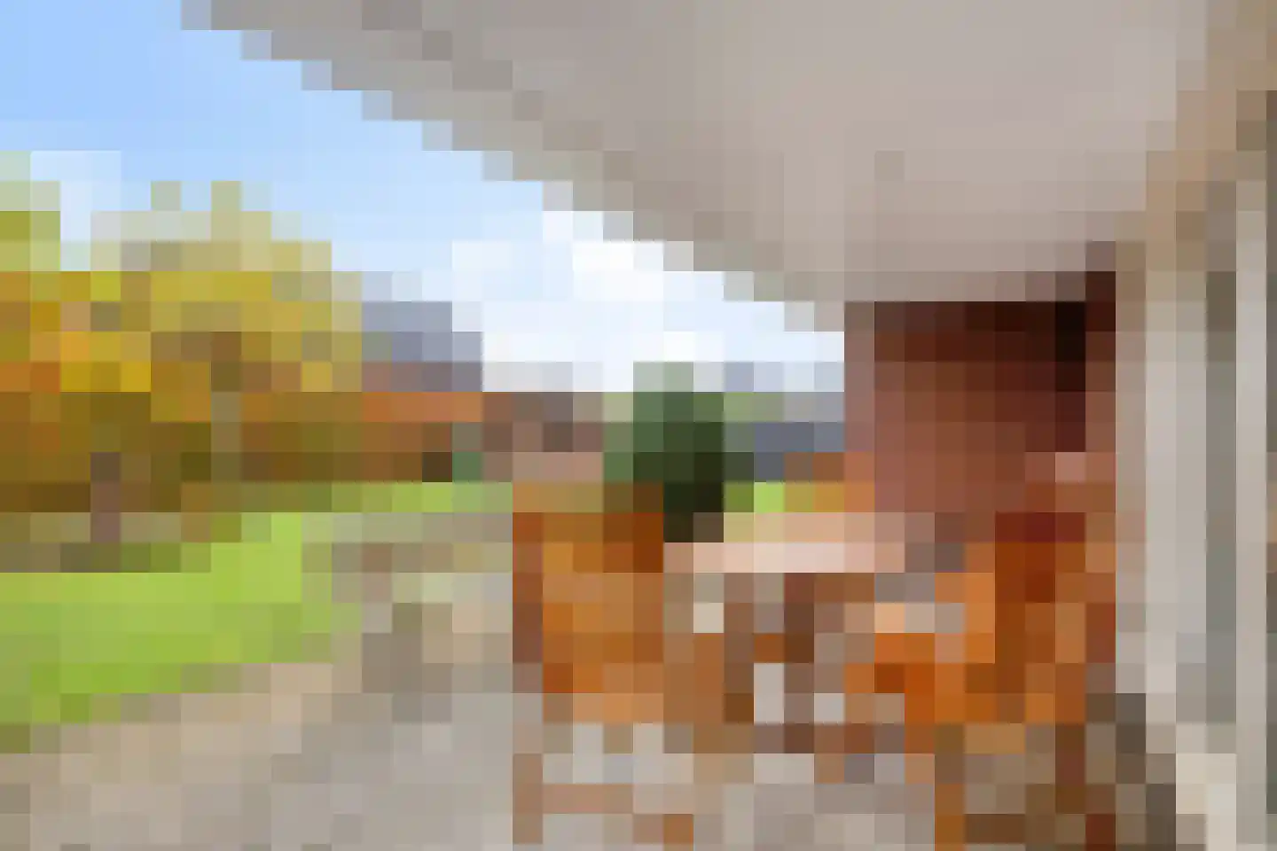 Wolfsklauwstraat 10 Landhorst thumbnail 36