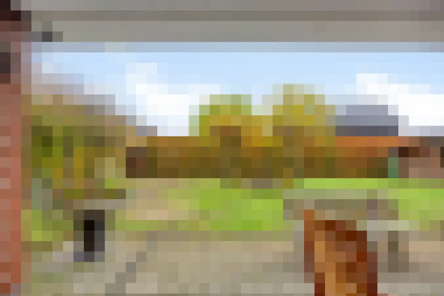 Wolfsklauwstraat 10 Landhorst thumbnail 37