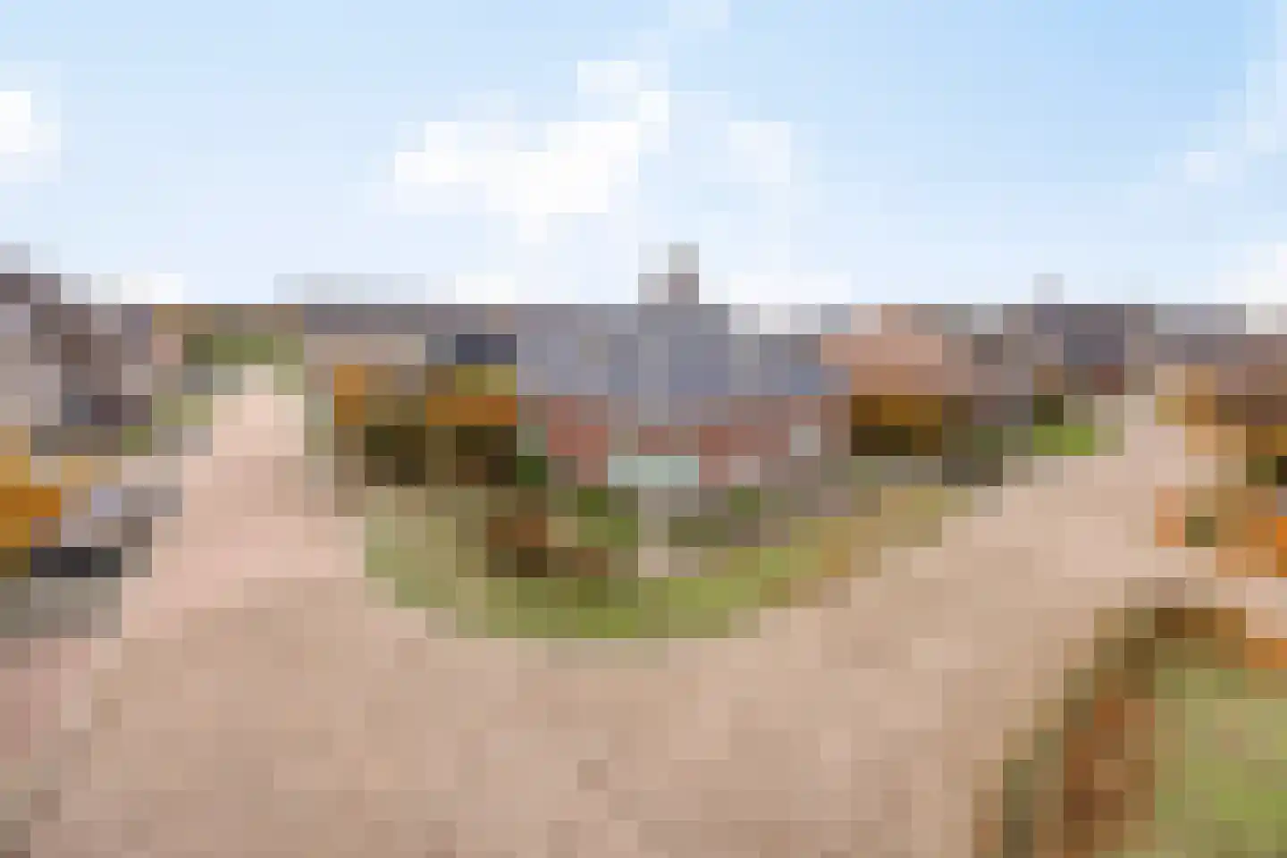 Wolfsklauwstraat 10 Landhorst thumbnail 8