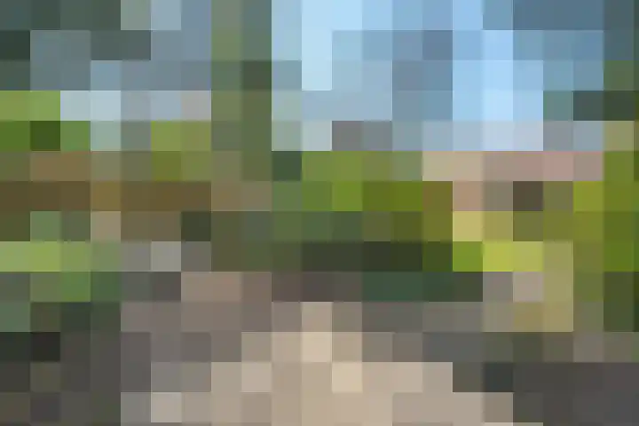 Wolfskuil 14 Ommen thumbnail 11
