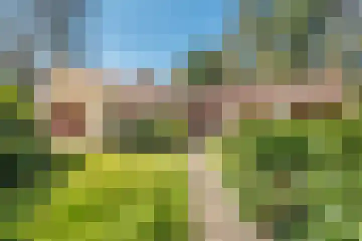 Wolfskuil 14 Ommen thumbnail 12