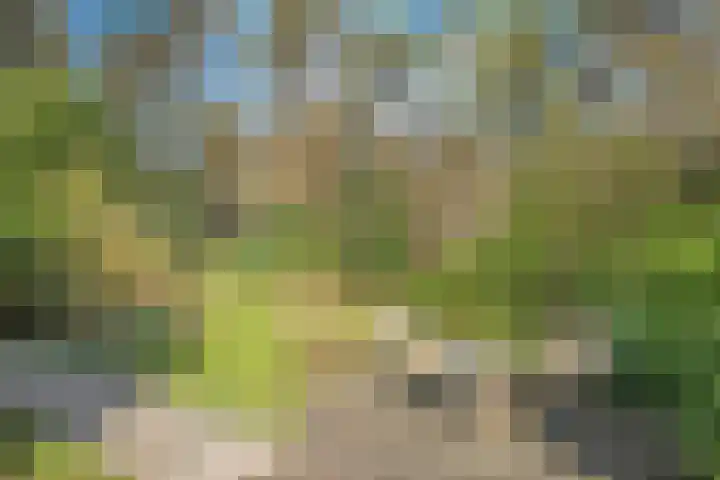 Wolfskuil 14 Ommen thumbnail 16