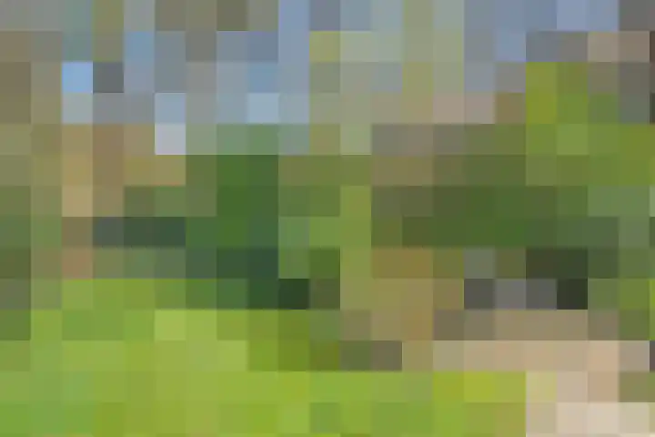 Wolfskuil 14 Ommen thumbnail 17