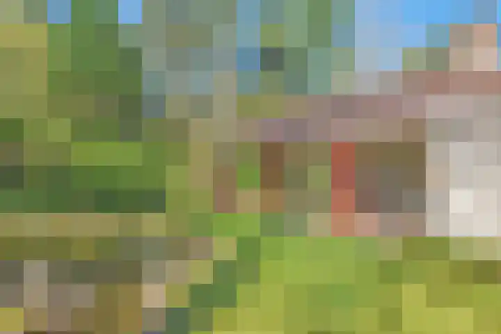 Wolfskuil 14 Ommen thumbnail 53
