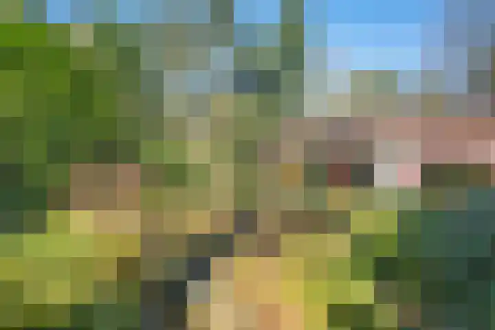 Wolfskuil 14 Ommen thumbnail 55
