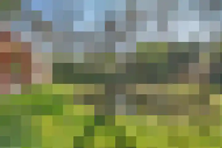 Wolfskuil 14 Ommen thumbnail 56