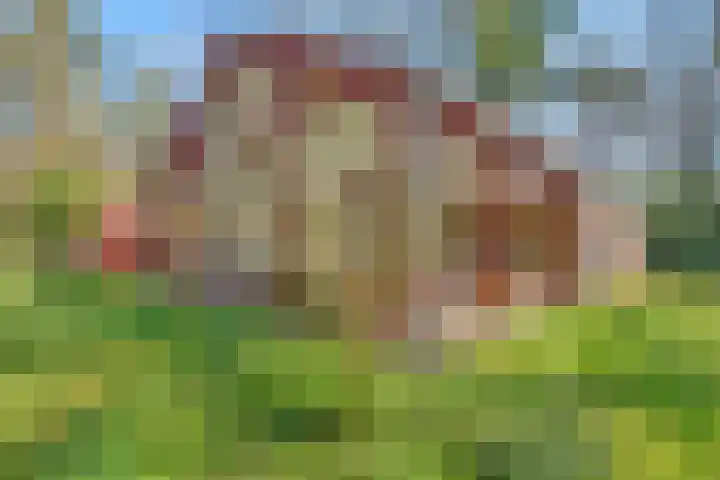 Wolfskuil 14 Ommen thumbnail 57
