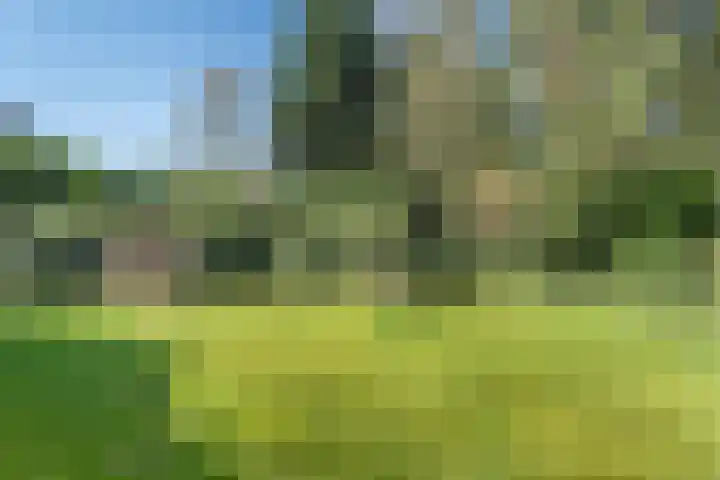 Wolfskuil 14 Ommen thumbnail 60