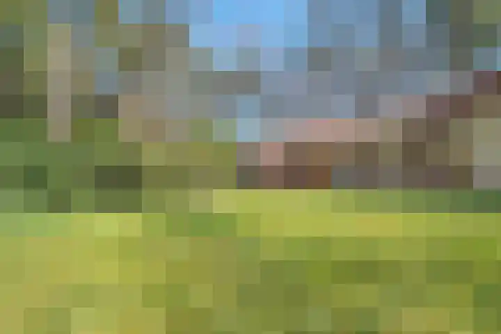 Wolfskuil 14 Ommen thumbnail 62