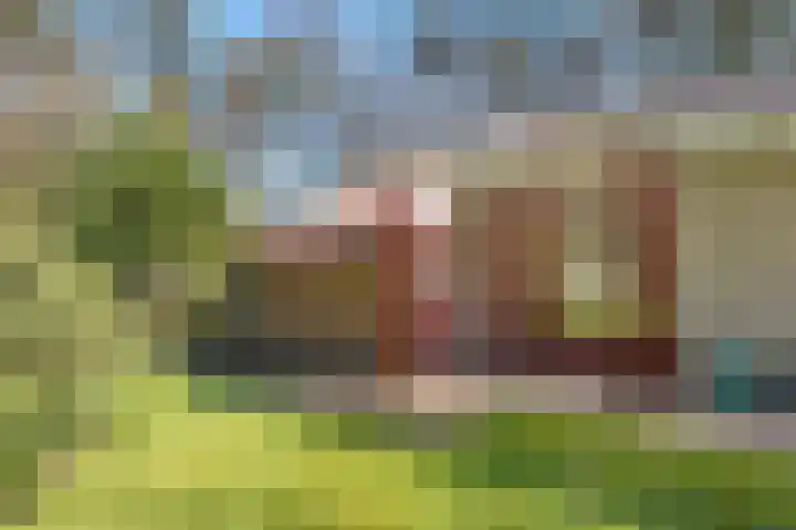 Wolfskuil 14 Ommen thumbnail 63