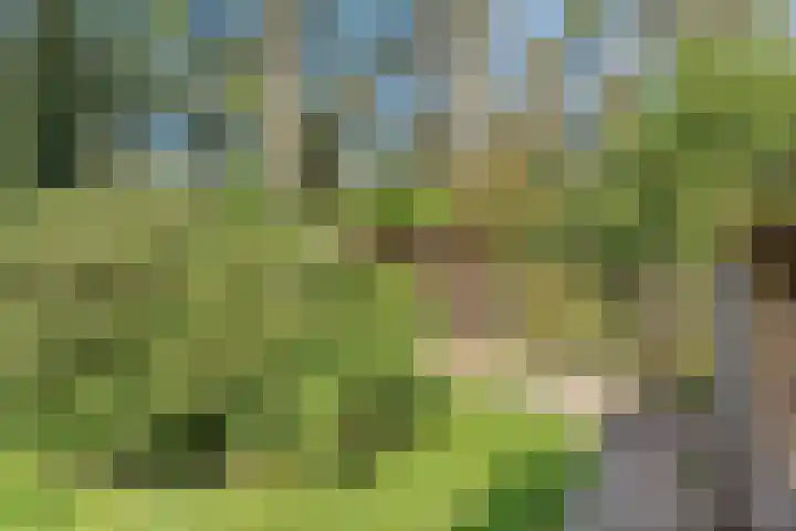 Wolfskuil 14 Ommen thumbnail 64