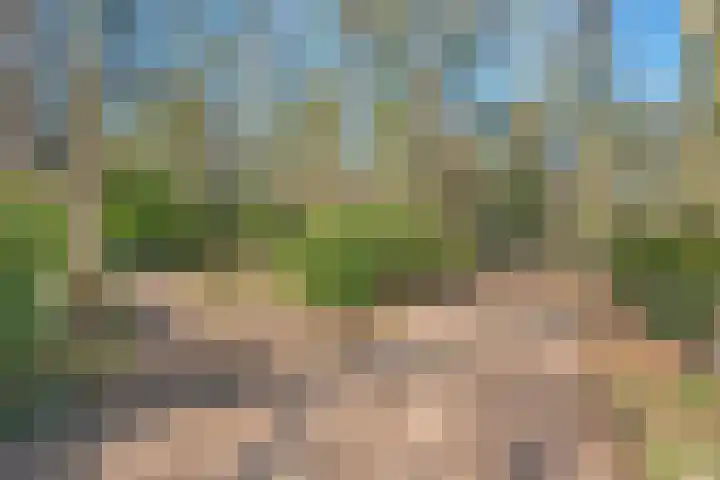 Wolfskuil 14 Ommen thumbnail 8