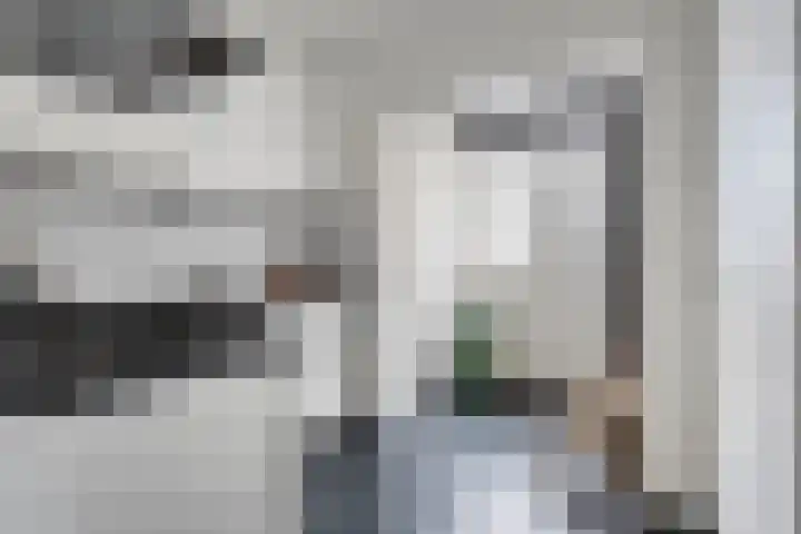 Wolfskuil 14 Ommen thumbnail 9