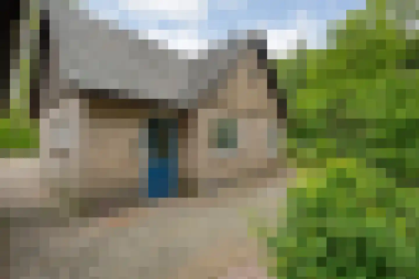 Wolfskuil 20 Ommen thumbnail 10