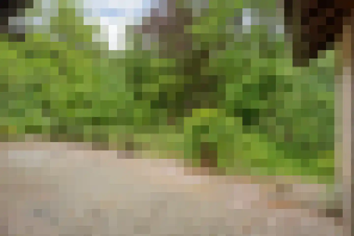 Wolfskuil 20 Ommen thumbnail 12