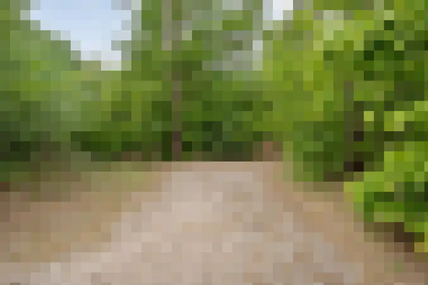 Wolfskuil 20 Ommen thumbnail 16