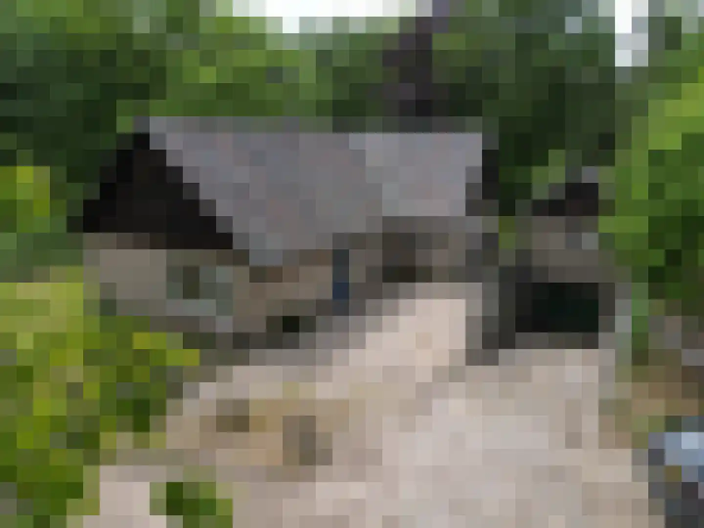 Wolfskuil 20 Ommen thumbnail 18