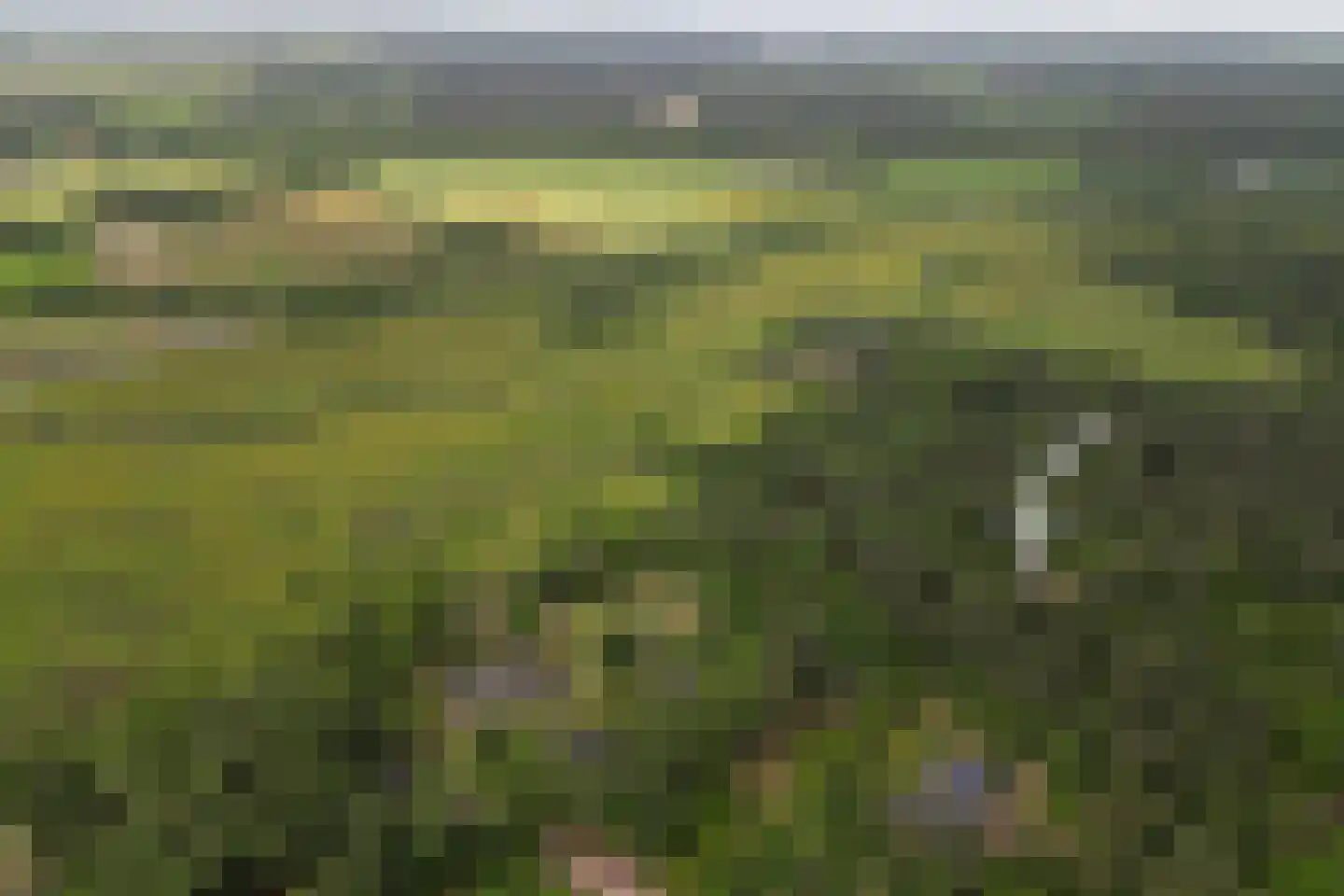 Wolfskuil 20 Ommen thumbnail 20