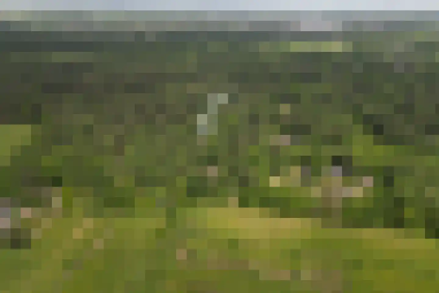 Wolfskuil 20 Ommen thumbnail 21
