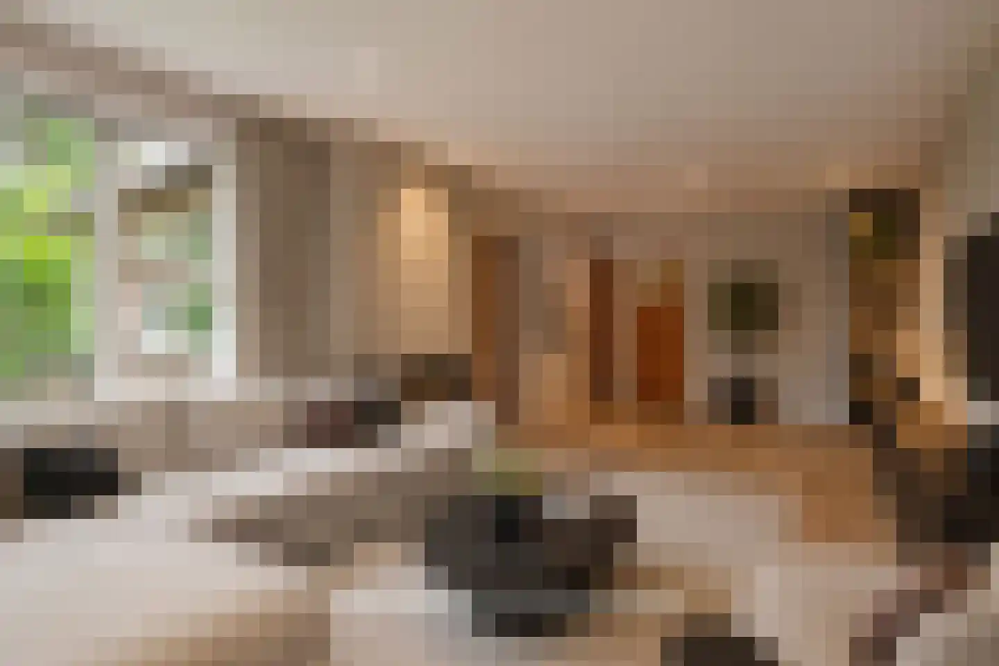 Wolfskuil 20 Ommen thumbnail 25
