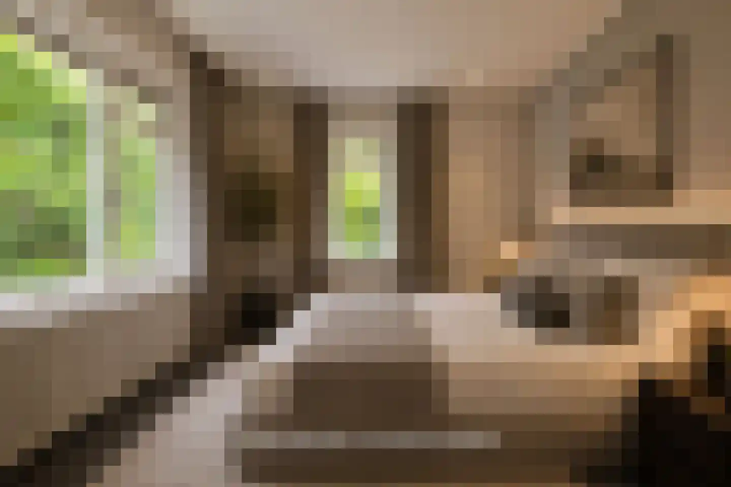 Wolfskuil 20 Ommen thumbnail 28