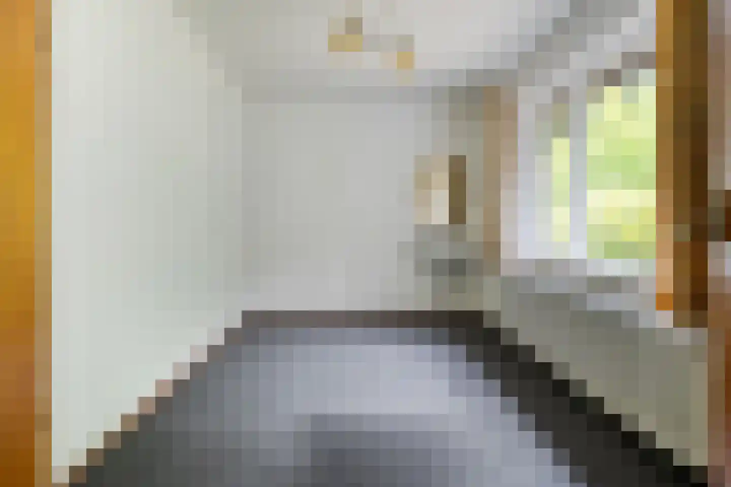 Wolfskuil 20 Ommen thumbnail 30