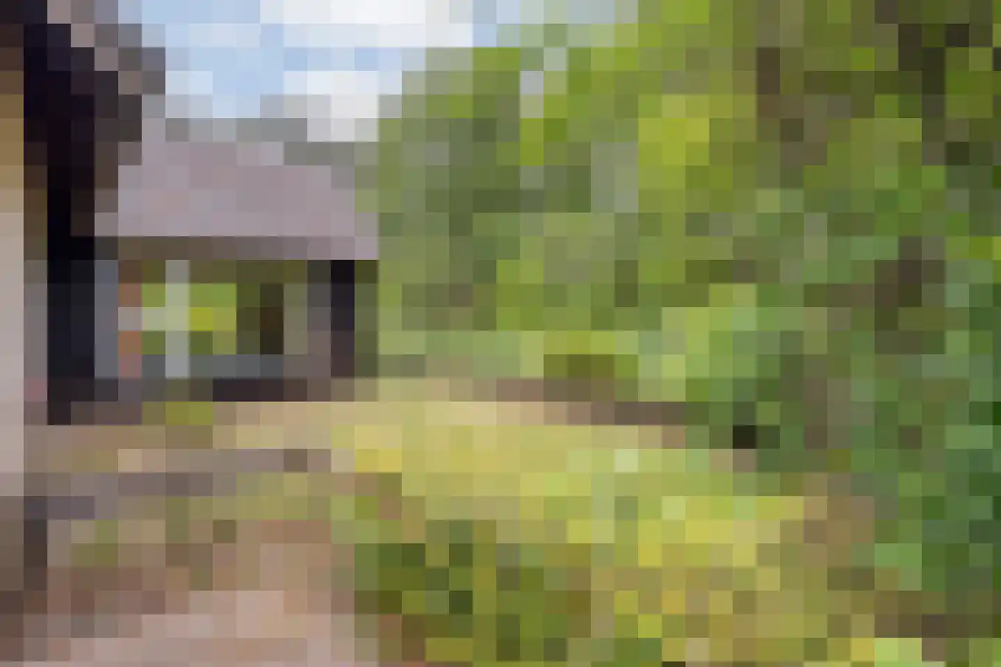 Wolfskuil 20 Ommen thumbnail 9
