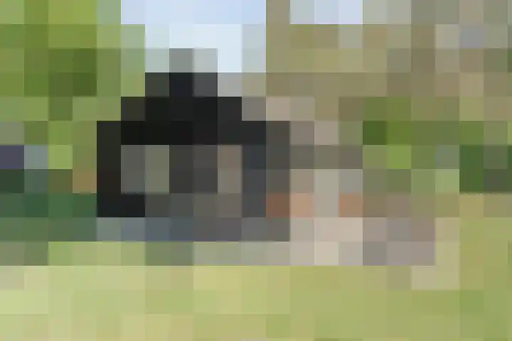 Wolfskuil 42 Ommen thumbnail 31