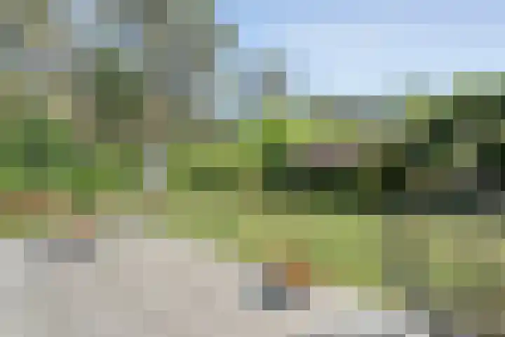 Wolfskuil 42 Ommen thumbnail 36