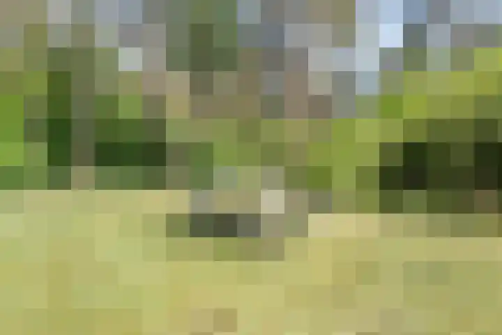 Wolfskuil 42 Ommen thumbnail 39
