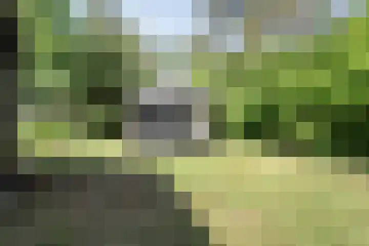 Wolfskuil 42 Ommen thumbnail 40