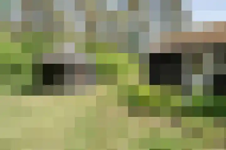 Wolfskuil 42 Ommen thumbnail 41